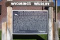 Image for Wyoming'a Wildlife-Enjoy Wyoming's Wildlands
