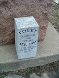 Image for Foley Centenial Time Capsule - Foley, Missouri