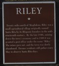 Image for Riley - Magdalena, New Mexico