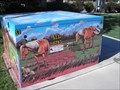 Image for The Pony Box - Loveland, CO