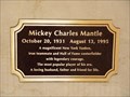 Image for Mickey Charles Mantle