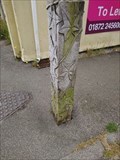 Image for Carved Posts-Town Centre Car Park,Camborne, Cornwall,UK