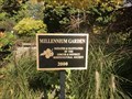 Image for Millennium Garden - Simcoe, ON
