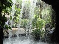 Image for Waterfall by the Ginger Garden in the Botanic Garden of Singapore
