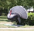 Image for Big Turkey -- Aneta ND