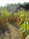 Image for Down on the Farm Corn Maze - Wisconsin Rapids, WI