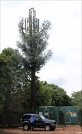 Image for Disguised Cell Tower, Irene, Pretoria, ZA