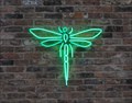 Image for The Dragonfly Club - Manchester, UK
