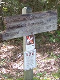 Image for Scott Mountain Trail at Schoolhouse Gap - Great Smoky Mountains National Park, TN