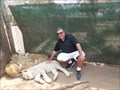 Image for Lion Park  -  Johannesburg, South Africa