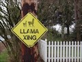 Image for Llama crossing - Wilsonville, OR
