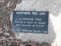 Image for Freedom Tree-Westfield, New York