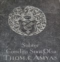 Image for Thomas Amyas - St Andrew - Hingham, Norfolk