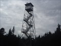 Image for Balsam Lake Mountain Overlook Tower - Catskills, NY