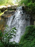Image for Brandywine Falls
