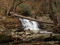 Image for Waterfall on Dunnfield Creek - Delaware Water Gap, NJ, USA