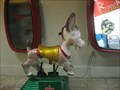 Image for Donkey - Galeria Catete 228 - Rio de Janeiro , Brazil