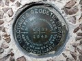 Image for AW0679 - "W 662" bench mark disk - Humble, TX