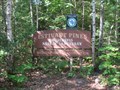 Image for Estivant Pines Nature Sanctuary - Copper Harbor, MI