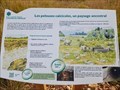 Image for Les pelouses calcicoles, un paysage ancestral - Chaumes du Verniller - Le Subdray, Centre Val de Loire, France