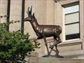 Image for Antelope Sculpture - Wasco County Courthouse lawn - The Dalles Oregon