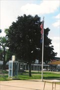 Image for Dowdall Tree - Memphis, MO