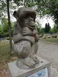 Image for Monkey - Mudenhof Freiburg, Germany, BW