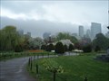 Image for The Public Garden - Boston, MA