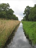 Image for Holme Fen National Nature Reserve - Cambridgeshire