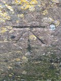 Image for St Marys church Ashill Somerset Cut bench mark and rivet