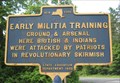 Image for Early Militia Training