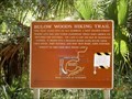 Image for Bulow Woods Hiking Trail - Ormond Beach, FL