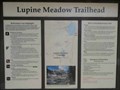 Image for Lupine Meadow Trailhead - Grand Teton N.P., Wyoming