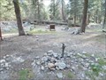 Image for Lodgepole C G pump - Sequoia N P CA