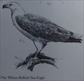 Image for Sea Eagle Lookout - Lake Macquarie, NSW, Australia