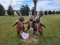 Image for Dancing Rabbits - Trexlertown, PA, USA