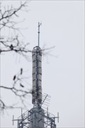 Image for RD Meetpunt: 409353 - SEP toren Arnhem - Arnhem