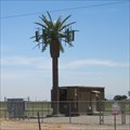 Image for I-8 Palm Tree Cell 1 - El Centro, CA