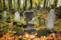 Image for New Jewish Cemetery - Krakow, Poland