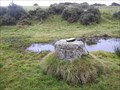 Image for Parish Boundary Stone, Whitchurch Down, Near Tavistock, Devon, UK