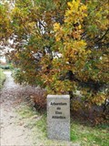 Image for Arboretum do Eixo Atlántico - Ourense, SP