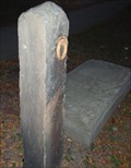Image for Hitching post and upping stone - Endicott, NY