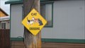 Image for Cat Crossing - Philipsburg, MT