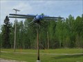 Image for World's Largest Dragonfly in Wabamun
