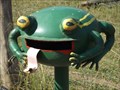 Image for Happy Frog - Ellenborough, NSW, Australia