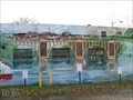 Image for American Canoe Association Mural - Fredericksburg VA