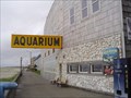 Image for Seaside Aquarium, Seaside Oregon USA