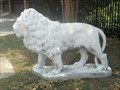 Image for Leon High School Lion #2 - Tallahassee, FL