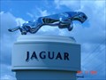 Image for Jaguar Emblem