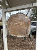 Image for Smithfield Walnut Tree - Blacksburg, Virginia